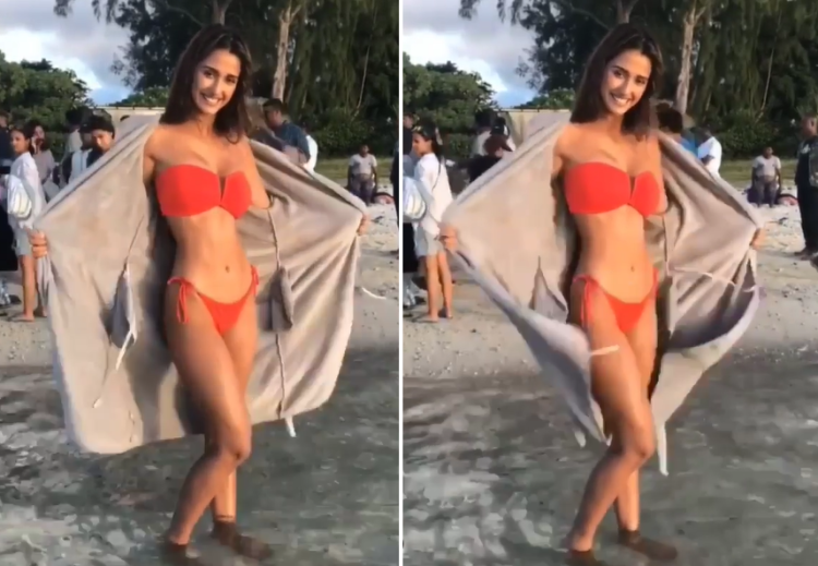 Disha Patani Shows Off Perfect Curvaceous Body In Red Bikini Video