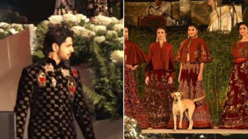 Don't Miss: Street Dog Hijacks Sidharth Malhotra’s Ramp Walk At Fashion Show