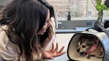 After A Rs 35,000 Jacket, Priyanka Chopra Just Got Her Dog A Rs 1 Lakh Travel Bag