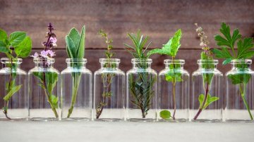 10 Best Essential Oils That Save Your Irritated And Itchy Skin