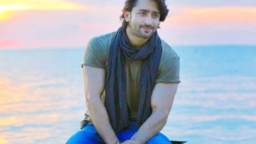 "Most Producers And Directors Not Keen About TV Face", Says Shaheer Sheikh