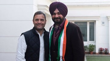 'Were you uprooting terrorists or trees?' Navjot Singh Sidhu Questions GOV over IAF Strike