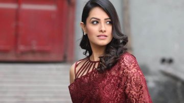 Actress Anita Hassanandani Admits That TV Has More Power Than Anything