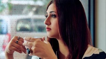 Actor Vivian D'sena's Ex Wife Vahbiz Dorabjee Approached For "Bigg Boss 13"