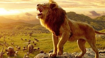 Actor Siddharth To Give Voice For Simba In Tamil Version Of "The Lion King"