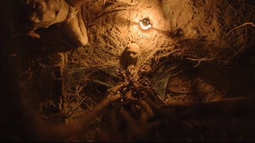 “Tumbbad” Set For A Special Screening To Celebrate One Year Of Release