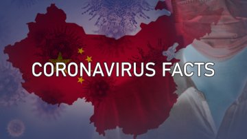 Coronavirus Facts: Everything About nCoV You Must Keep In Mind To Survive