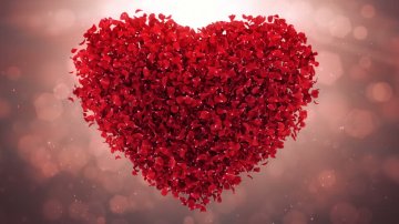 Valentine Day 2020 - 7 Days of Romance Week & Meanings