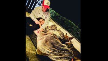 Priyanka Chopra Falls Into Nick Jonas's Arms When Quarantining At Home in Los Angeles