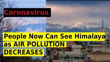 Coronavirus Lockdown Clears Air, Indian People Can See The Himalayas After 30 Years