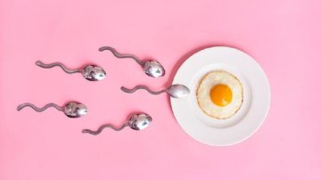 Coronavirus Can Spread Through Sperm? US Scientists Have Found The Answer
