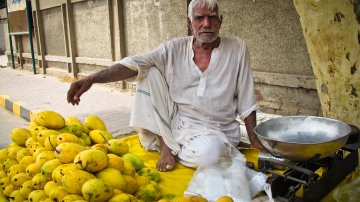 Is Looting Illegal? Does India Have Laws To Punish Mango Looters In Delhi?