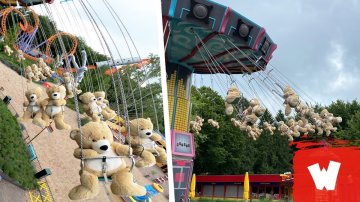 WARNING: Dozens Of Teddy Bears Enjoying Super Swing In Netherlands Will Put A Smile On Your Face