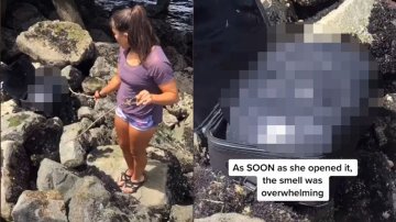 Human Remains Found Inside A Suitcase Trashed On A Beach, WATCH VIDEO!