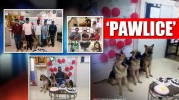 Sweet Gesture: Mumbai Police Celebrates Birthdays For Their Training Dogs