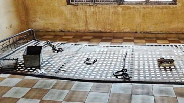 Custody Torture In Tamil Nadu: The Inhumanity And Illegality In What So-called Justice