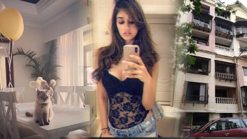 Disha Patani House – Virtual Tour Inside The Luxurious Apartment Of The Actress In Bandra