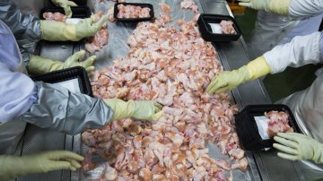 China Found Coronavirus In Frozen Chicken Wings Imported From Brazil, Is It Feasible?