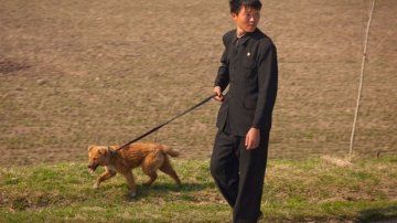 Kim Jong Un Orders North Korean People To Hand Over Pet Dogs Amid Food Crisis