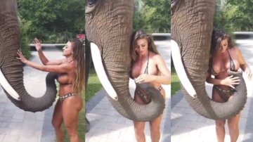 Playboy Model Was Groped By An Elephant In South Carolina, USA