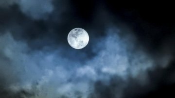Mosquitoes Are 500% More Active During Full Moon? - Here's When They Are Most Active!