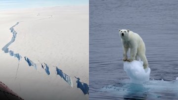 Enormous Iceberg In Antarctica Breaks Off From Its 150-Metre-Thick Ice Shelf