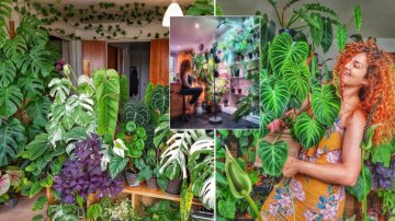 Jungle Girl In Real Life, Meet Woman Who Fills Her Home With Hundreds Of Plants