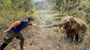 Elephant Recognized The Vet That Treated It 12 Years Ago