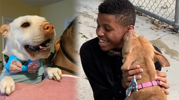 Teenage Boy Painstakingly Makes Hundreds Of Bow Ties Every Year To Help Homeless Animals Get Adopted