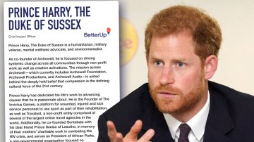 Prince Harry Gets His New Title As He Lands His First Job After Royal Exit