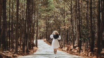 How to Get to The Florest - Hoa Trong Rung from Dalat City Center