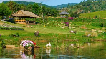 The Florest vs. Other Dalat Attractions: Which Should You Visit First?