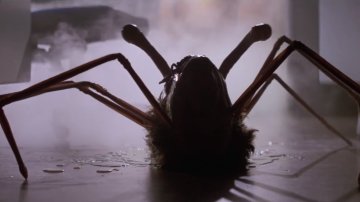 Top 10 Cult Classic Movies with Body Horror for Spooktober