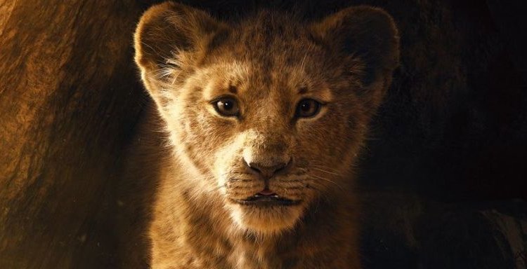 The Lion King First Trailer Creates Internet Frenzy
