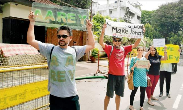 Bollywood Celebrities Fume Over Tree Cutting Inside Aarey Forest