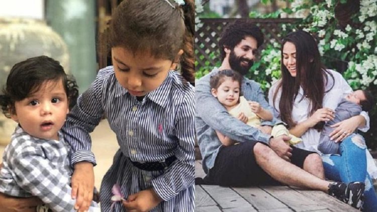 'मॉम और डैड, खेद है कि मैं चुभन था', शाहिद कपूर पितृत्व के बारे कहा