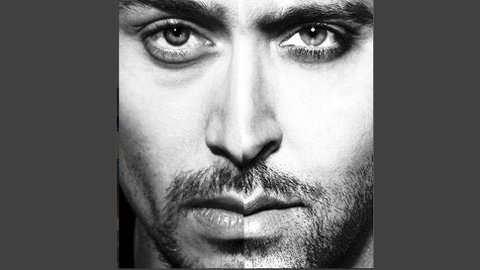 Hrithik Tiger Monochrome Pi