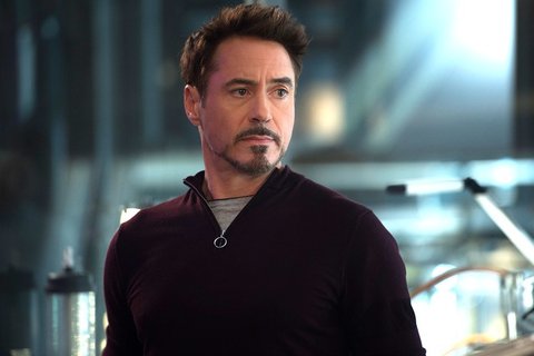 Robert Downey Jr The Avengers