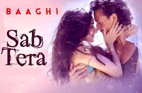 Tiger Shroff Baaghi The Showbiz Life