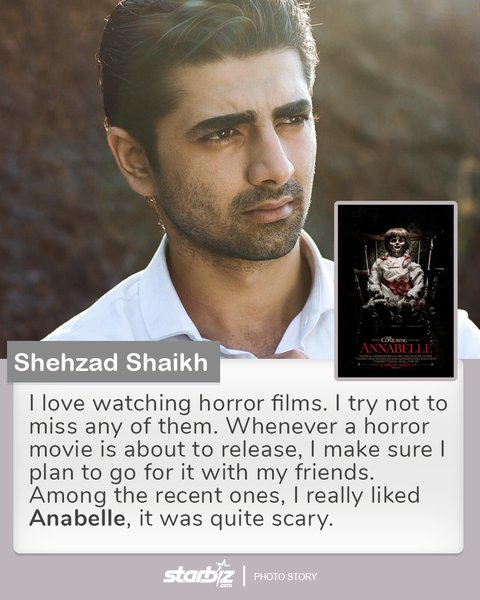 Shehzad Shaikh