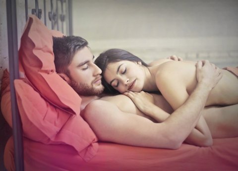 Cfarmafarma Transleitfotoshutterstock 553118908