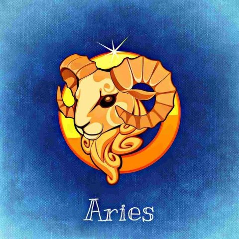 Aries3 B829