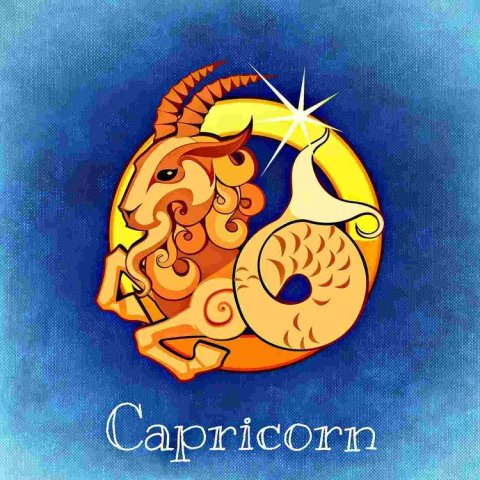 Capricorn3 A076