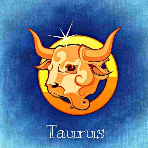 Taurus3 D3b7