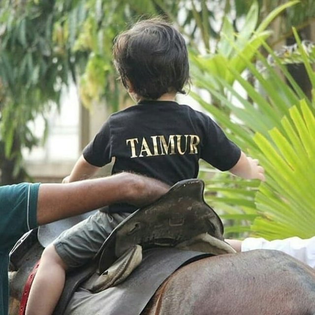 43447799 1984532691840783 7170486520525216965 N