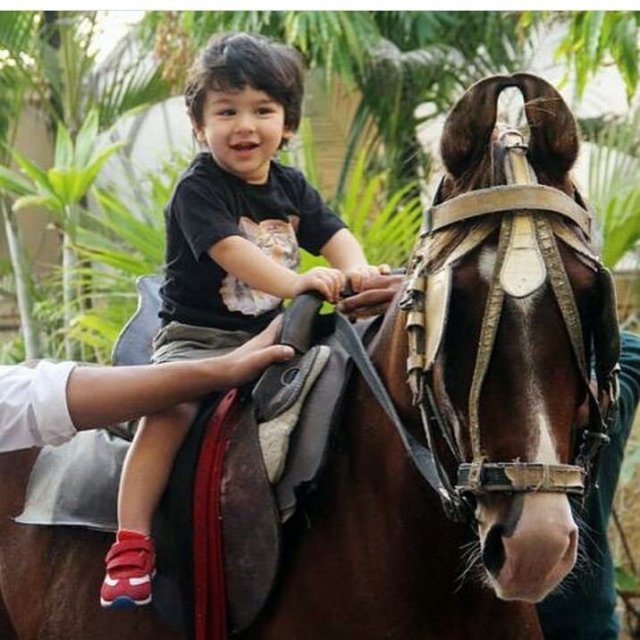 43710487 2212078205733981 437302051848080509 N