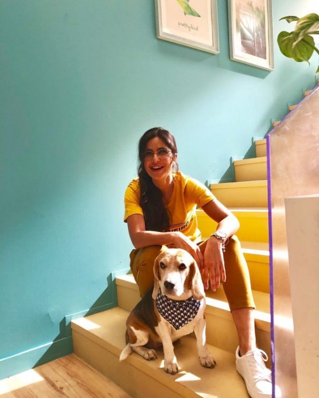 Katrina Kaif Bollywood Actor 1549948203