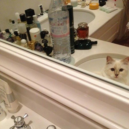 206882651165494256699741071554667739086848n 155058