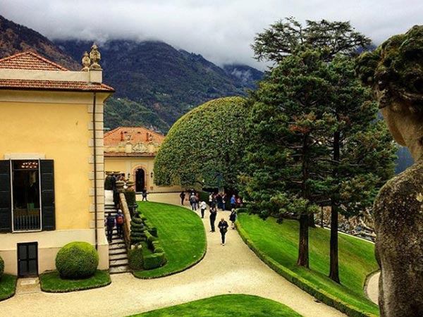 After Wedding, They'll Throw A Grand Reception In India