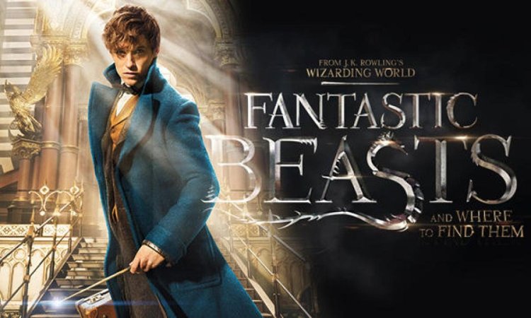 Káº¿t quáº£ hÃ¬nh áº£nh cho fantastic Beasts and Where to Find Them?